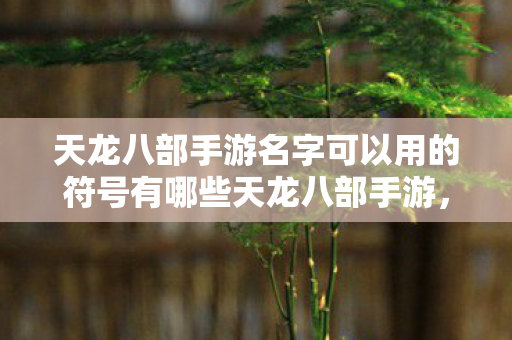 天龙八部手游名字可以用的符号有哪些天龙八部手游图片