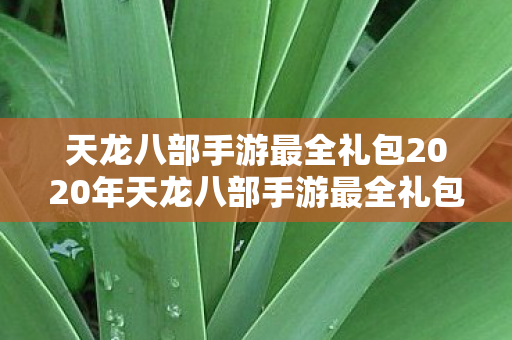 天龙八部手游最全礼包2020年天龙八部手游最全礼包2020图片