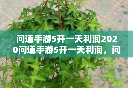 问道手游5开一天利润2020问道手游5开一天利润,问道手游5开一天利润揭秘,2020年最新收益分析 问道手游5开一天利润2020问道手游5开一天利润,问道手游5开一天利润揭秘,2020年最新收益分析
