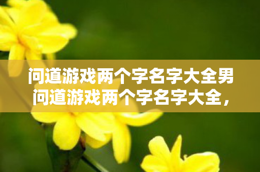问道游戏两个字名字大全男问道游戏两个字名字大全,问道游戏男生两个字名字精选 问道游戏两个字名字大全男问道游戏两个字名字大全,问道游戏男生两个字名字精选