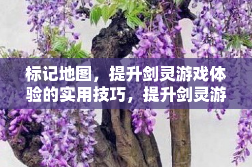 标记地图,提升剑灵游戏体验的实用技巧,提升剑灵游戏体验,实用技巧助你标记地图 标记地图,提升剑灵游戏体验的实用技巧,提升剑灵游戏体验,实用技巧助你标记地图