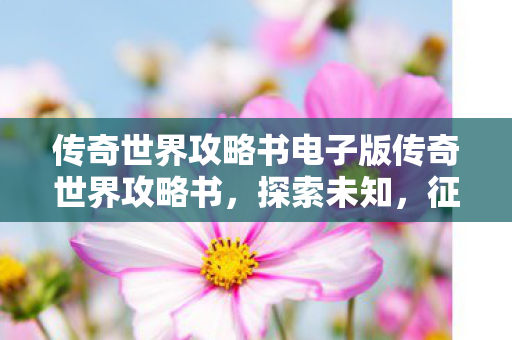 传奇世界攻略书电子版传奇世界攻略书图片