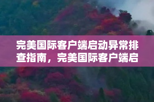 完美国际客户端启动异常排查全攻略图片
