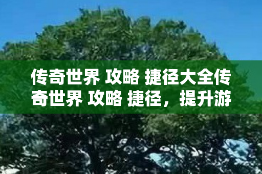 传奇世界 攻略 捷径大全传奇世界 攻略 捷径图片