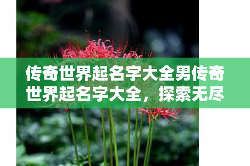 传奇世界起名字大全男传奇世界起名字大全图片