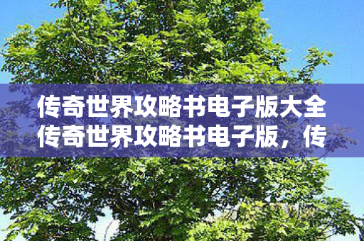 传奇世界攻略书电子版大全传奇世界攻略书电子版图片