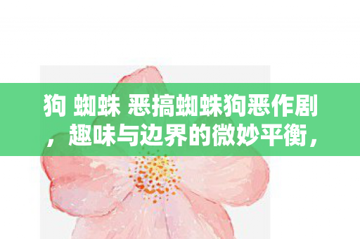 狗 蜘蛛 恶搞蜘蛛狗恶作剧图片