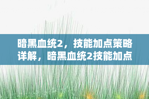 暗黑血统2技能加点策略全解析图片