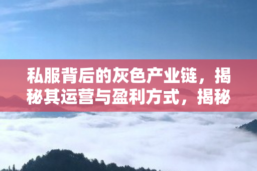 揭秘私服背后的灰色产业链图片