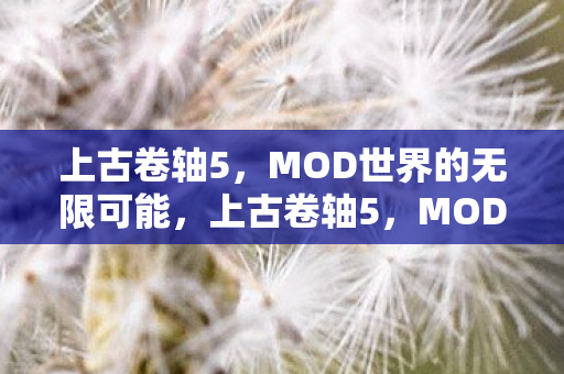 MOD世界的无限可能图片