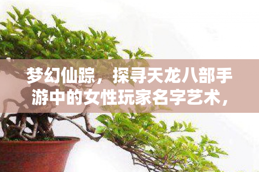探寻天龙八部手游中的女性玩家名字艺术图片