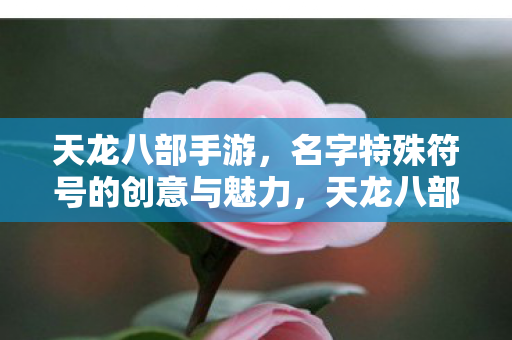 名字特殊符号的创意与魅力图片