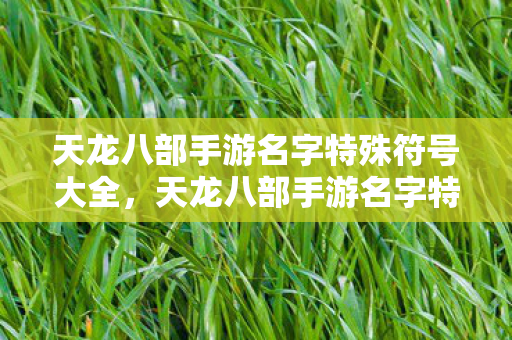 天龙八部手游名字特殊符号大全图片