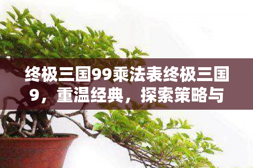 终极三国99乘法表终极三国9图片