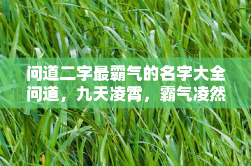 问道二字最霸气的名字大全问道，九天凌霄，霸气凌然，问道游戏中最霸气的名字，九天凌霄，霸气凌然
