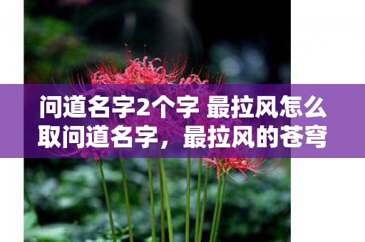 问道名字2个字 最拉风怎么取问道名字，最拉风的苍穹与绝尘，最拉风的苍穹与绝尘，问道名字创意分享