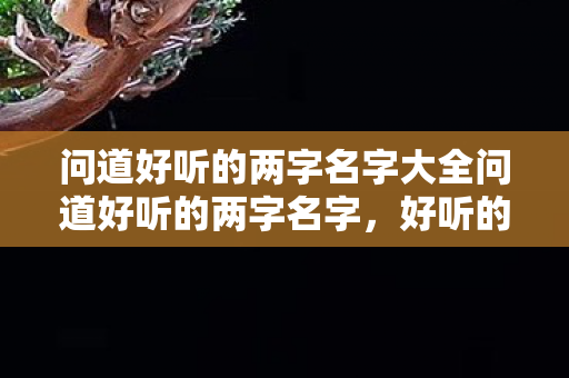 问道好听的两字名字大全问道好听的两字名字，好听的两字名字大全