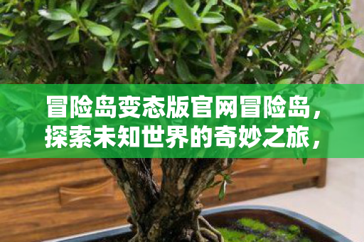 冒险岛变态版官网冒险岛,探索未知世界的奇妙之旅,冒险岛变态版,探索未知世界的奇妙之旅 冒险岛变态版官网冒险岛,探索未知世界的奇妙之旅,冒险岛变态版,探索未知世界的奇妙之旅