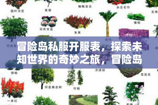 冒险岛私服开服表,探索未知世界的奇妙之旅,冒险岛私服全新开服表,开启探索未知世界的奇妙之旅 冒险岛私服开服表,探索未知世界的奇妙之旅,冒险岛私服全新开服表,开启探索未知世界的奇妙之旅