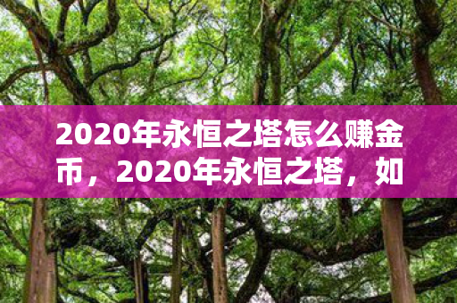 2020年永恒之塔怎么赚金币图片