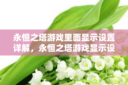 永恒之塔游戏里面显示设置详解图片