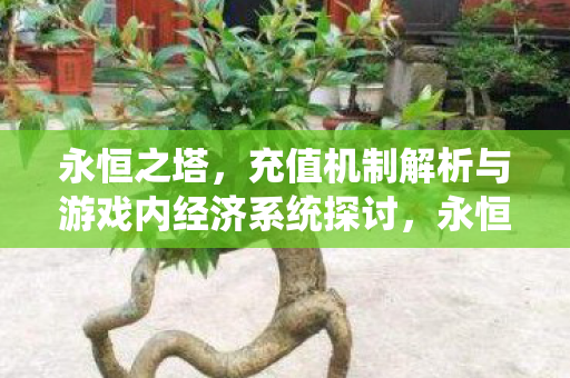 充值机制解析与游戏内经济系统探讨图片