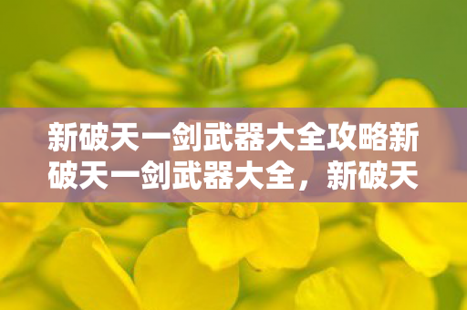 新破天一剑武器大全攻略新破天一剑武器大全，新破天一剑，全攻略武器解析
