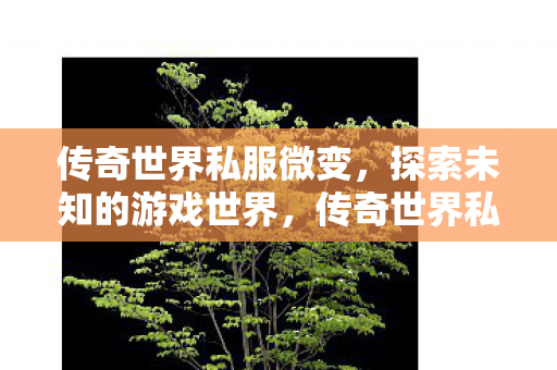 探索未知游戏世界的奇妙之旅图片