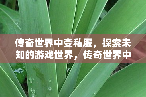 探索未知游戏世界的冒险之旅图片