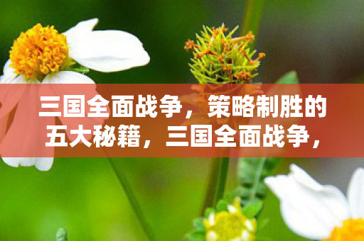 策略制胜的五大秘籍图片