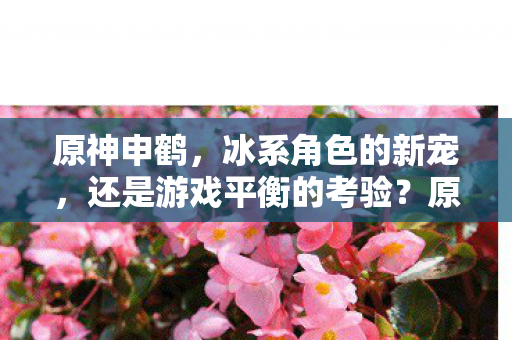 冰系新宠还是游戏平衡考验图片