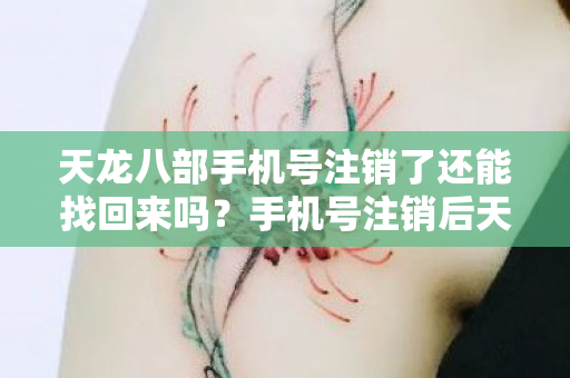 天龙八部手机号注销了还能找回来吗图片