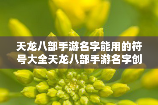 天龙八部手游名字能用的符号大全天龙八部手游名字创意指南图片