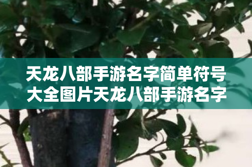 天龙八部手游名字简单符号大全图片天龙八部手游名字简单符号大全图片