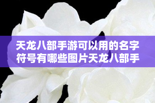 天龙八部手游可以用的名字符号有哪些图片天龙八部手游图片