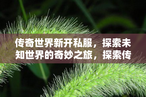 探索未知世界的奇妙之旅图片