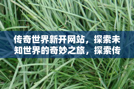 探索未知世界的奇妙之旅图片