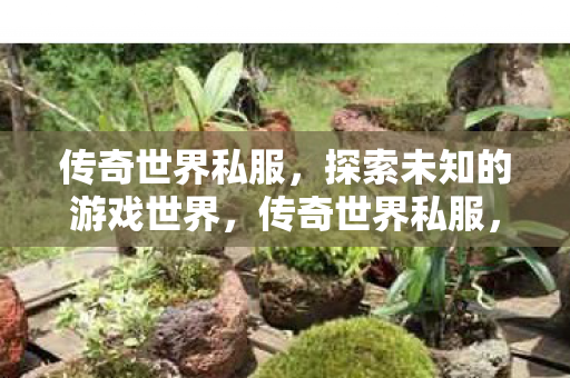 探索未知的游戏世界图片