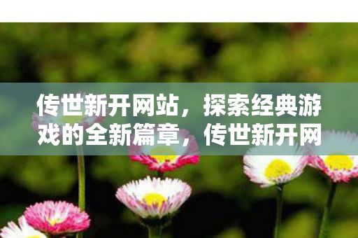 探索经典游戏的全新篇章图片