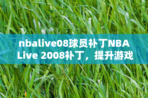 nbalive08球员补丁NBA Live 2008补丁图片