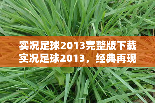 实况足球2013完整版下载实况足球2013图片