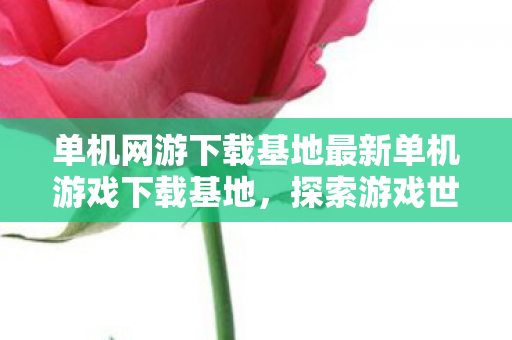 单机网游下载基地最新单机游戏下载基地图片