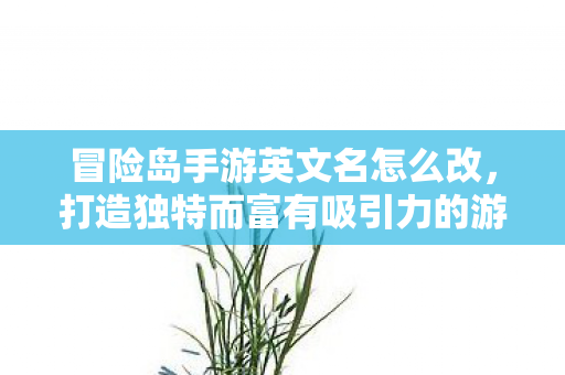 冒险岛手游英文名怎么改,打造独特而富有吸引力的游戏昵称,如何为冒险岛手游起一个独特且吸引人的游戏昵称? 冒险岛手游英文名怎么改,打造独特而富有吸引力的游戏昵称,如何为冒险岛手游起一个独特且吸引人的游戏昵称?