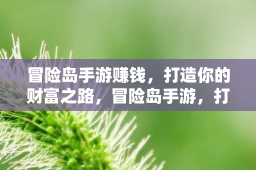 冒险岛手游赚钱，打造你的财富之路，冒险岛手游，打造财富之路，轻松赚钱！