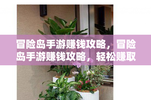 冒险岛手游赚钱攻略，冒险岛手游赚钱攻略，轻松赚取金币与资源