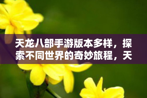 探索不同世界的奇妙旅程图片