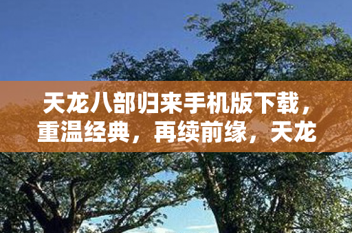 天龙八部归来手机版下载图片