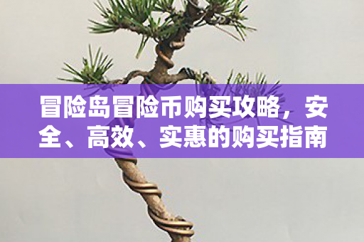 冒险岛冒险币购买攻略,安全、高效、实惠的购买指南,冒险岛冒险币安全高效实惠购买指南 冒险岛冒险币购买攻略,安全、高效、实惠的购买指南,冒险岛冒险币安全高效实惠购买指南