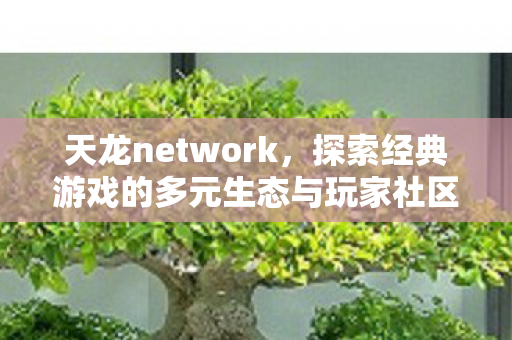 探索经典游戏的多元生态与玩家社区图片