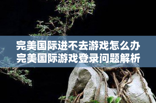 完美国际进不去游戏怎么办完美国际游戏登录问题解析图片